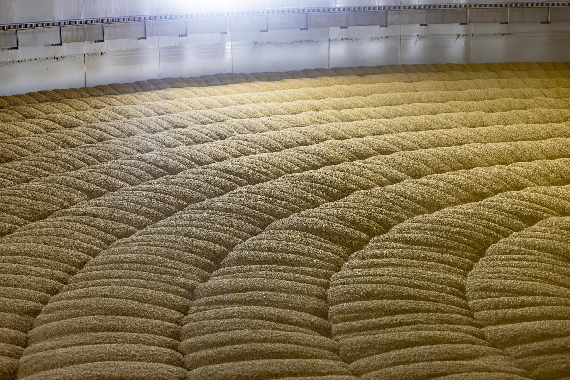 Malt
